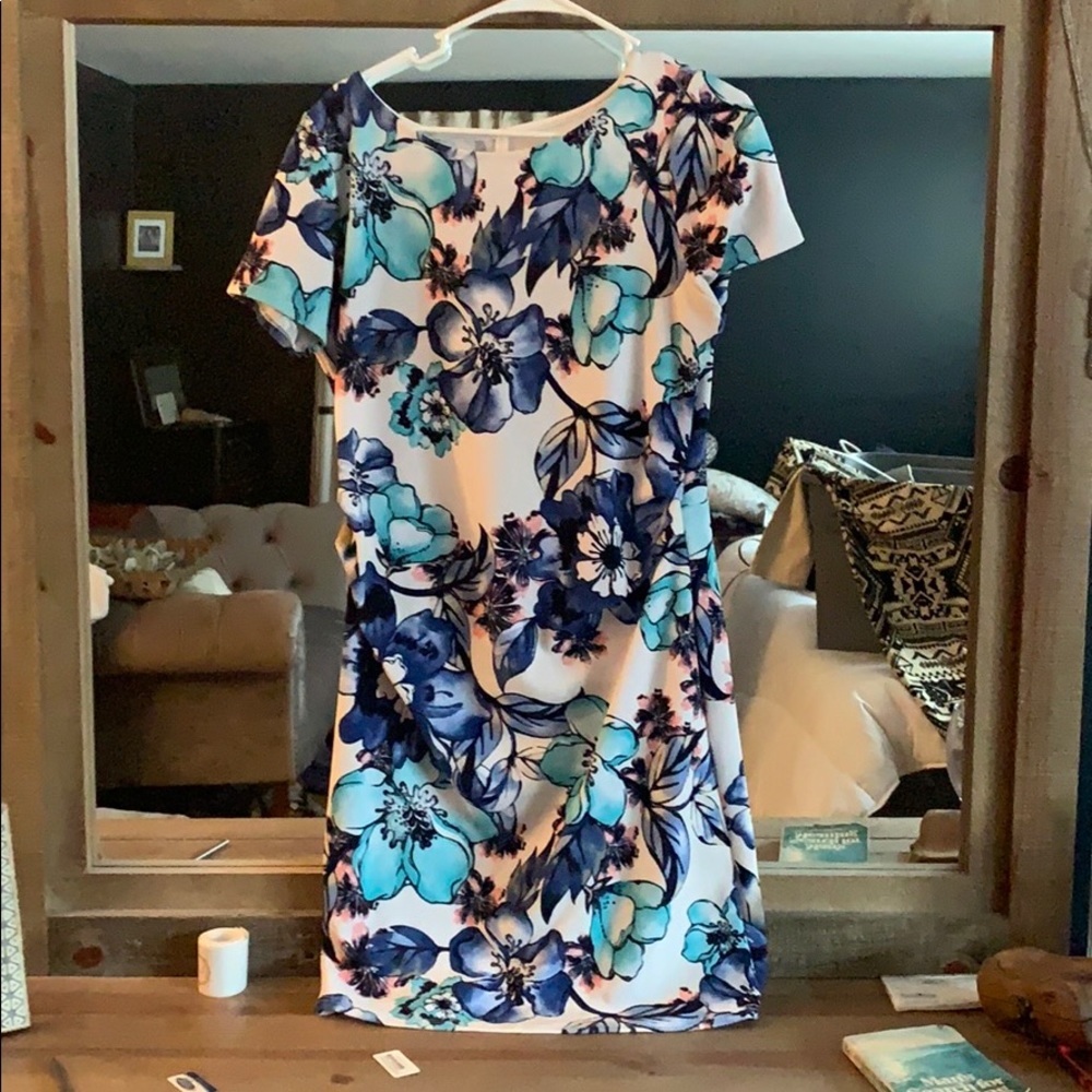 PinkBlush Maternity Dress